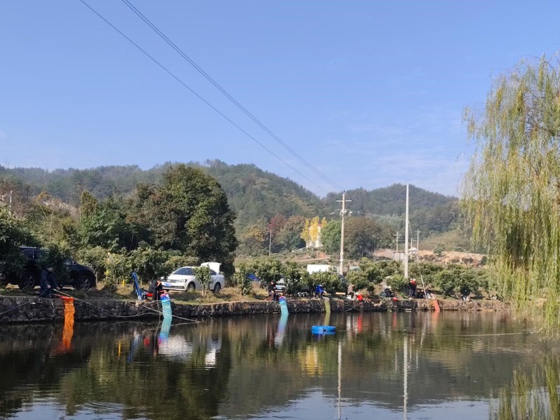 以“渔”为乐，“喜”上眉梢 —...